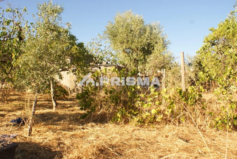 Terreno para Venda em Castelo Branco Foto 7