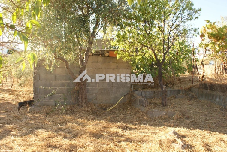 Terreno para Venda em Castelo Branco Foto 15
