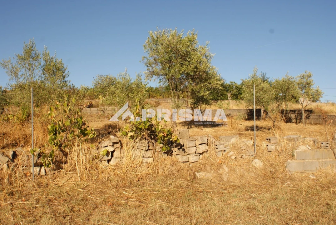 Terreno para Venda em Castelo Branco Foto 14