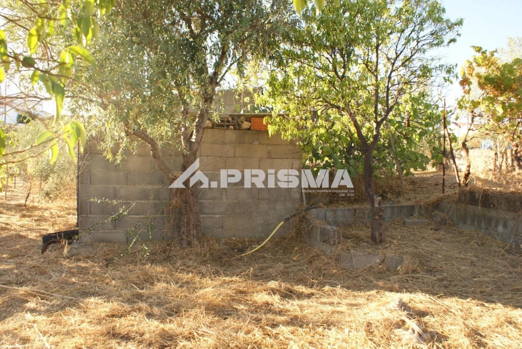 Terreno para Venda em Castelo Branco Foto 15