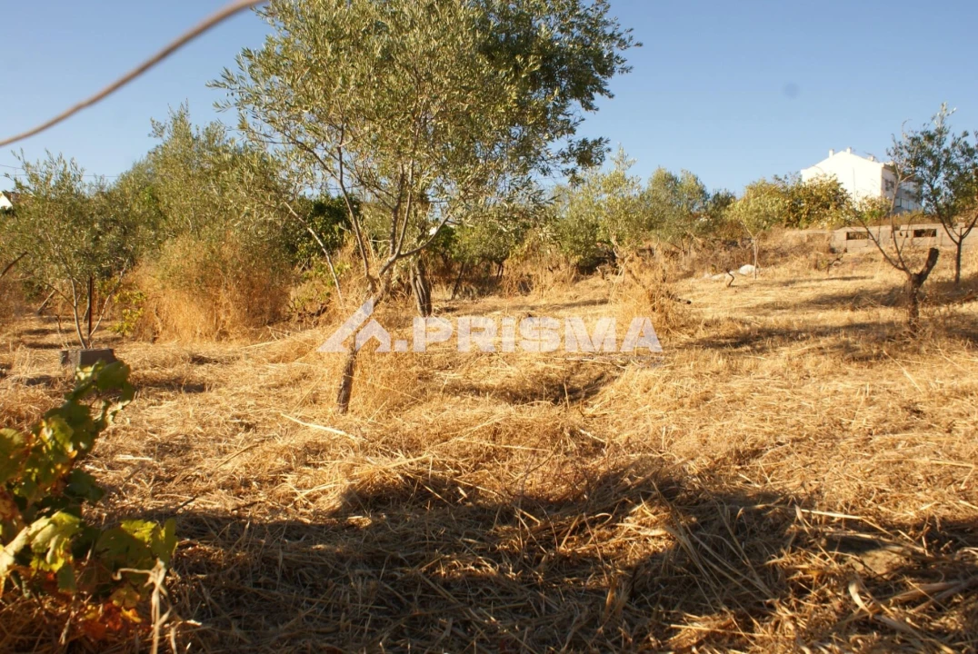 Terreno para Venda em Castelo Branco Foto 11
