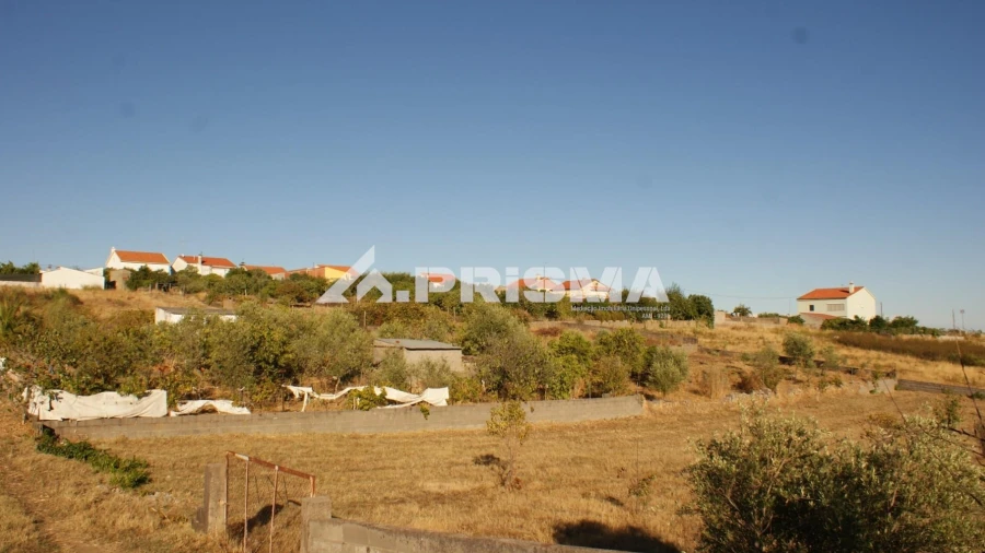 Terreno para Venda em Castelo Branco