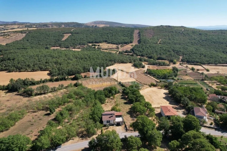 Moradia T3 para Venda em Carragosa Foto 19