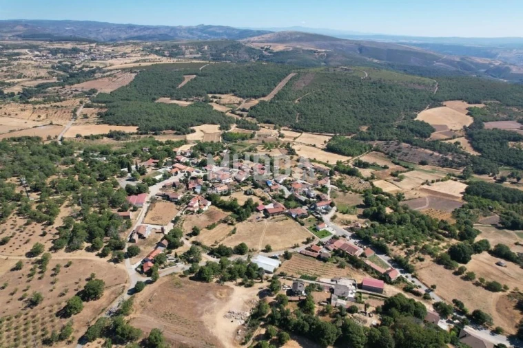 Moradia T3 para Venda em Carragosa Foto 17