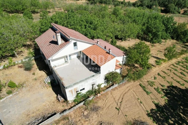 Moradia T3 para Venda em Carragosa Foto 12