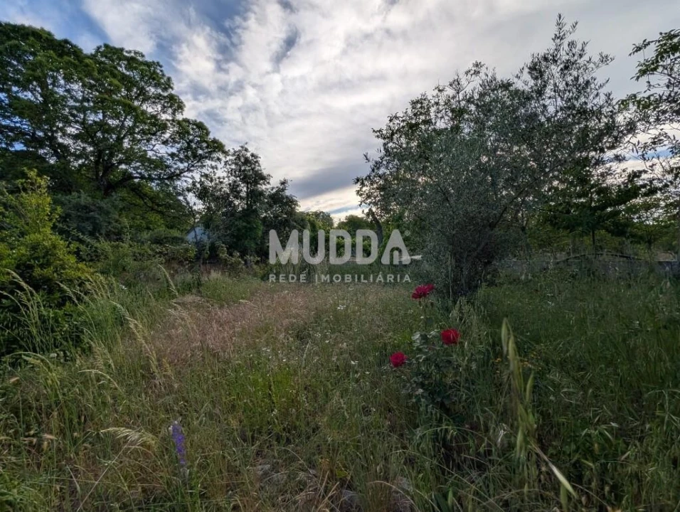 Moradia T3 para Venda em Carragosa Foto 13