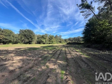 Terreno para Venda em Antas