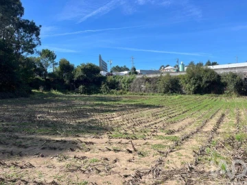 Terreno para Venda em Antas