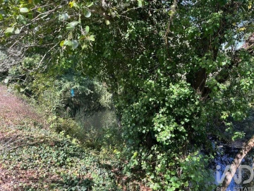 Terreno para Venda em Antas