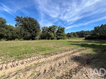 Terreno para Venda em Antas