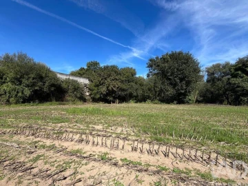 Terreno para Venda em Antas