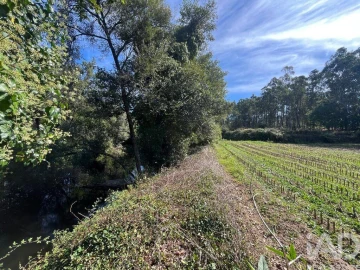 Terreno para Venda em Antas