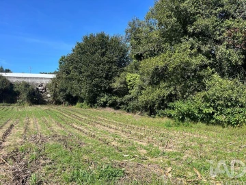 Terreno para Venda em Antas