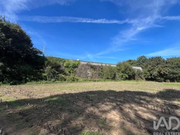 Terreno para Venda em Antas
