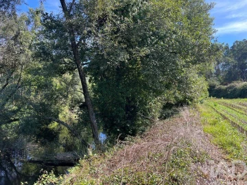 Terreno para Venda em Antas
