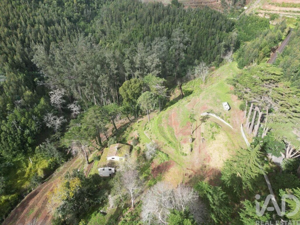 Quinta para Venda em São Gonçalo Foto 13