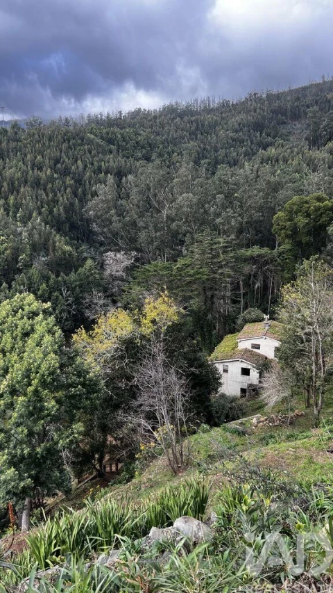 Quinta para Venda em São Gonçalo