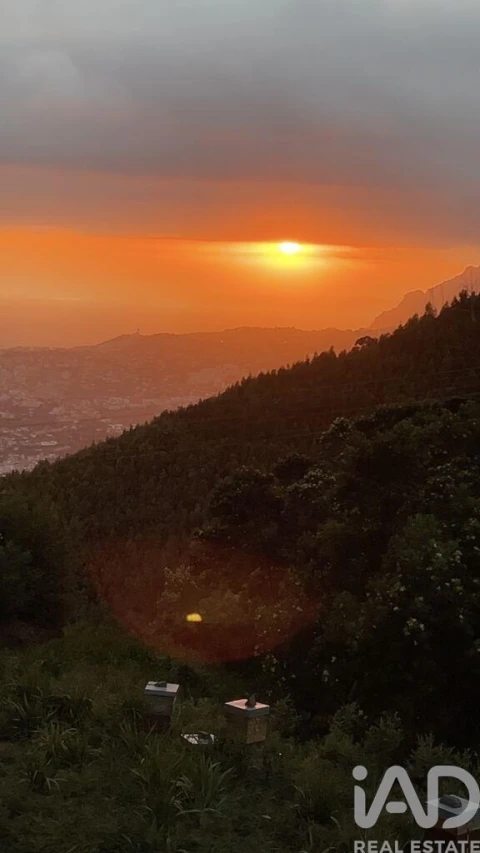 Quinta para Venda em São Gonçalo
