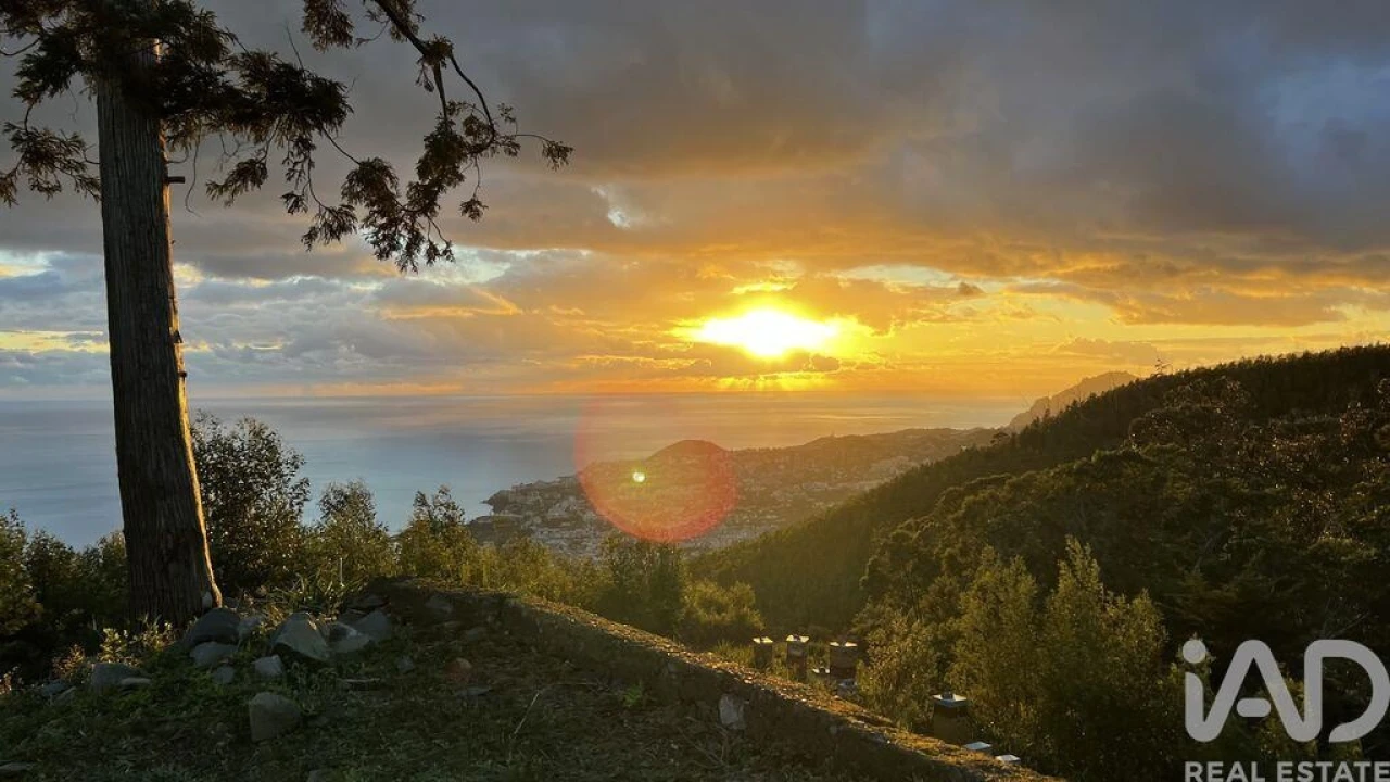 Quinta para Venda em São Gonçalo Foto 6