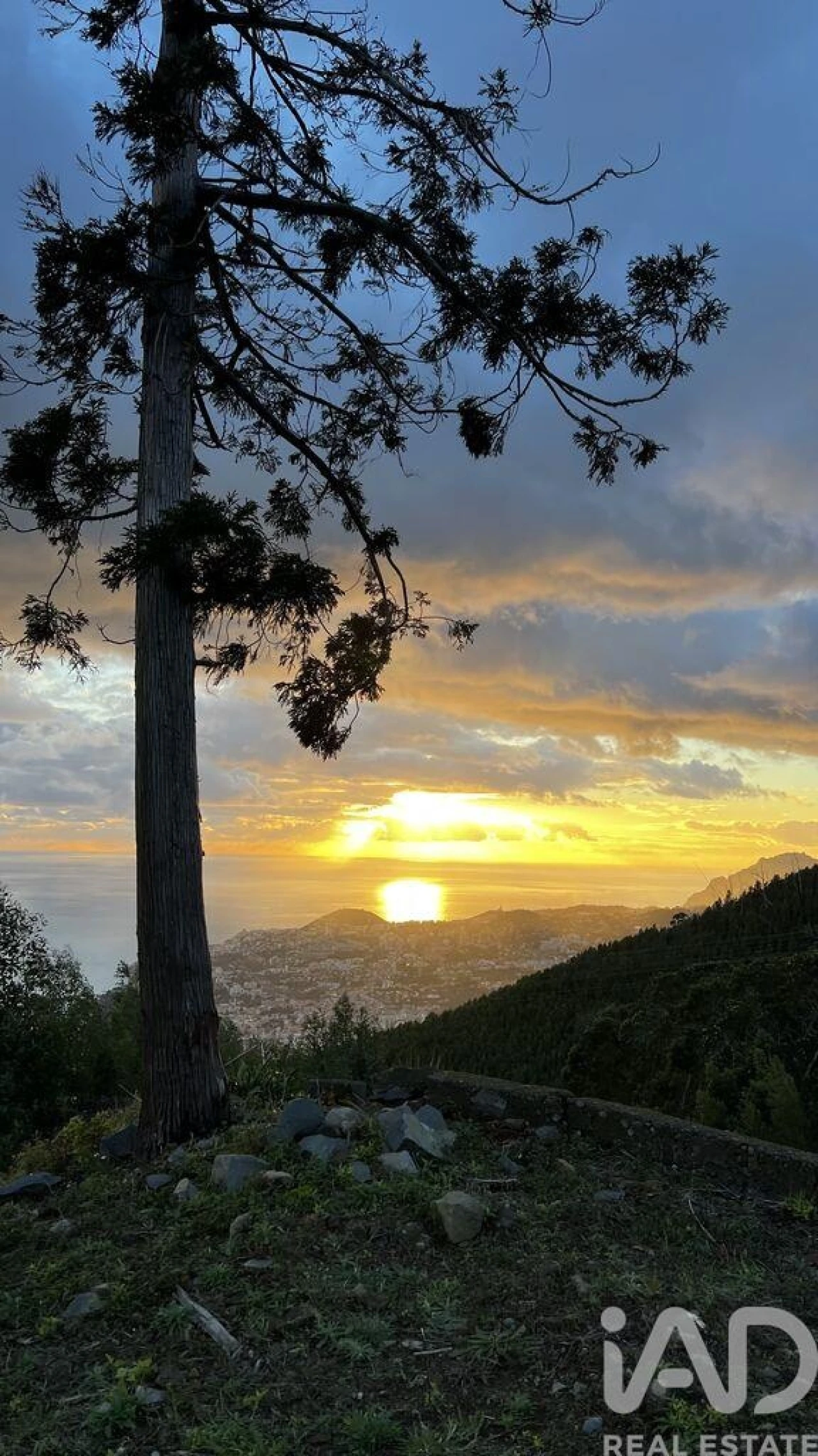 Quinta para Venda em São Gonçalo Foto 7