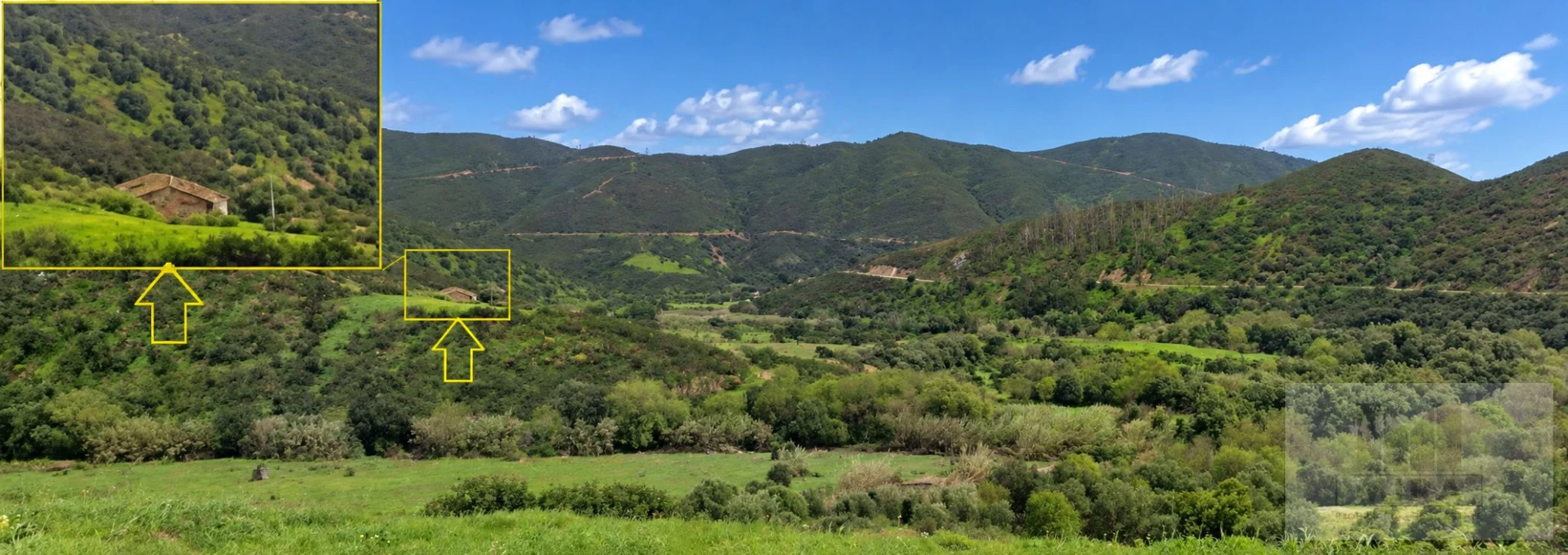Quinta T3 para Venda em Alferce Foto 2