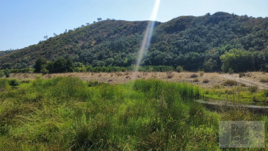 Quinta T3 para Venda em Alferce Foto 3