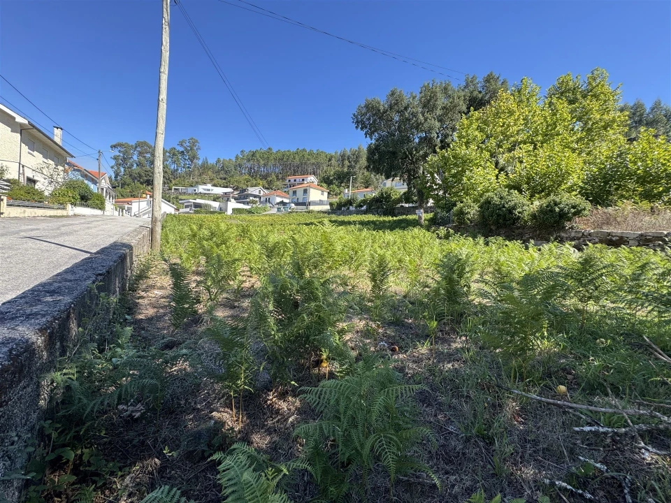 Terreno para Venda em Refojos de Basto, Outeiro e Painzela Foto 3