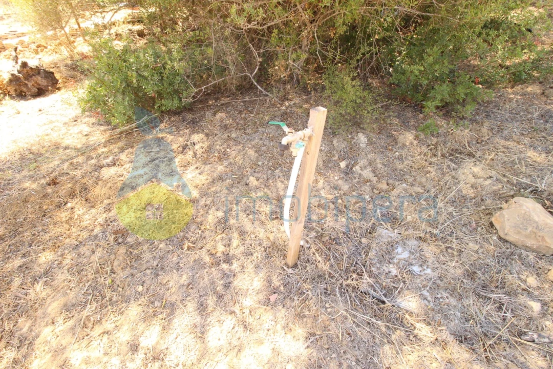 Terreno Agricola ou Rústico para Venda em Alcantarilha e Pêra Foto 12