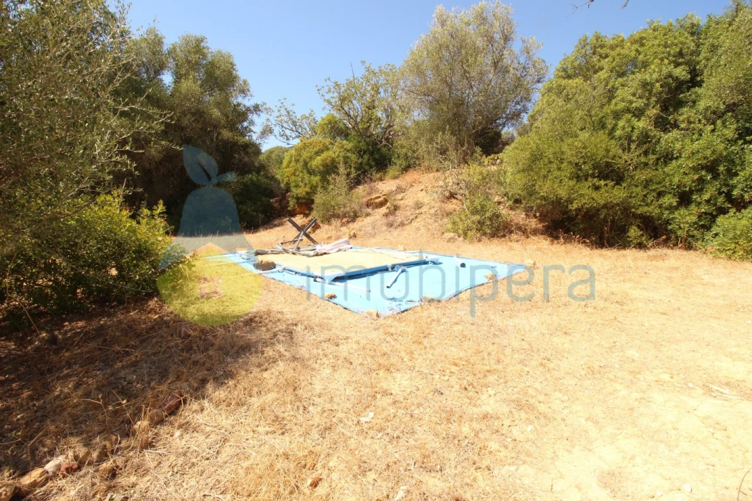 Terreno Agricola ou Rústico para Venda em Alcantarilha e Pêra Foto 17