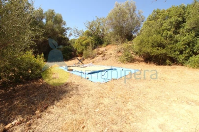 Terreno Agricola ou Rústico para Venda em Alcantarilha e Pêra