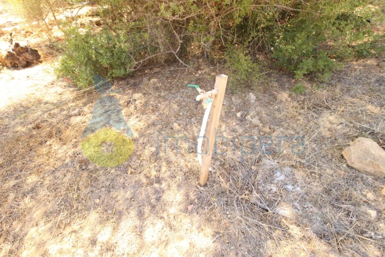Terreno Agricola ou Rústico para Venda em Alcantarilha e Pêra Foto 12