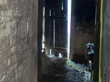 Moradia T2 para Venda em Eiras e São Paulo de Frades