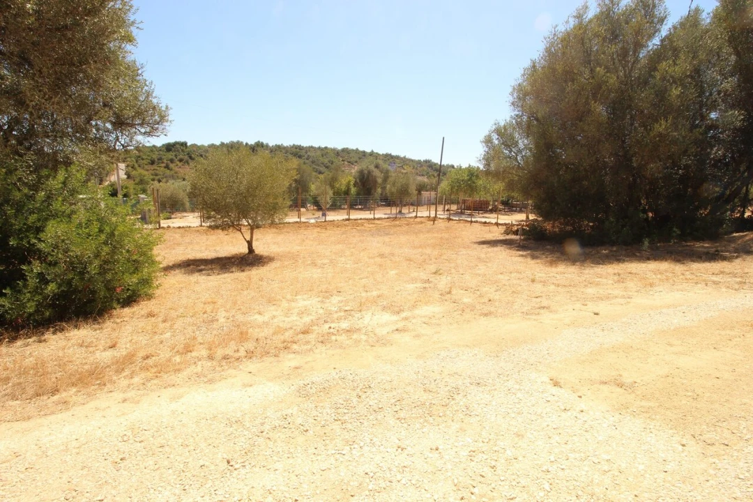 Terreno para Venda em Alcantarilha e Pêra Foto 11