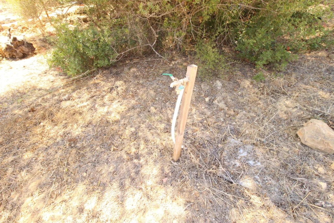 Terreno para Venda em Alcantarilha e Pêra Foto 12