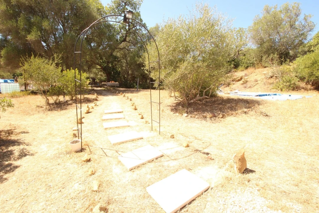 Terreno para Venda em Alcantarilha e Pêra Foto 14