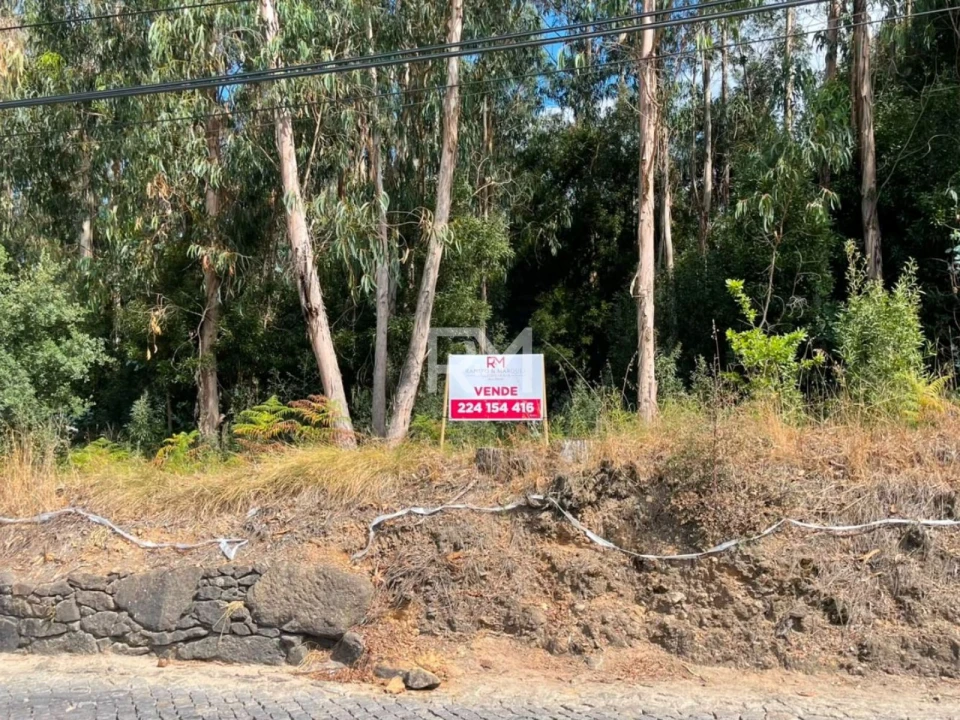 Terreno Agricola ou Rústico para Venda em Vilar e Mosteiró Foto 1