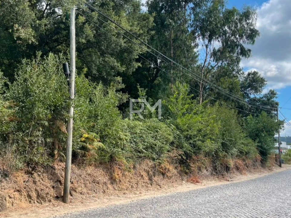 Terreno Agricola ou Rústico para Venda em Vilar e Mosteiró Foto 2