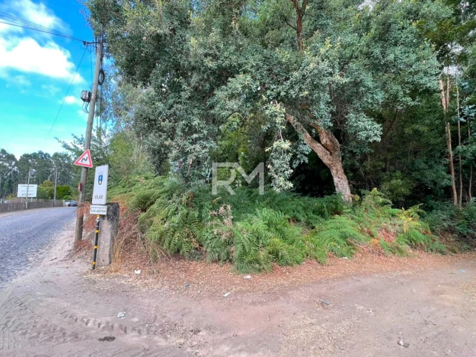 Terreno Agricola ou Rústico para Venda em Vilar e Mosteiró Foto 4