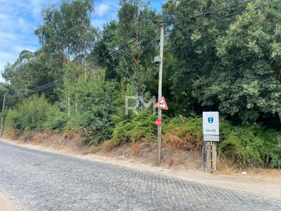 Terreno Agricola ou Rústico para Venda em Vilar e Mosteiró Foto 5