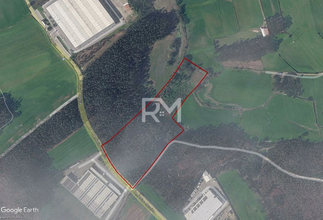 Terreno Agricola ou Rústico para Venda em Vilar e Mosteiró Foto 18