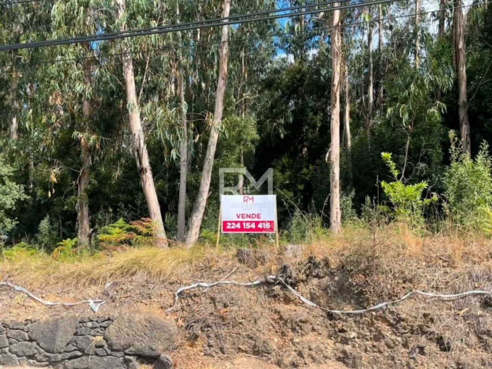 Terreno Agricola ou Rústico para Venda em Vilar e Mosteiró Foto 9