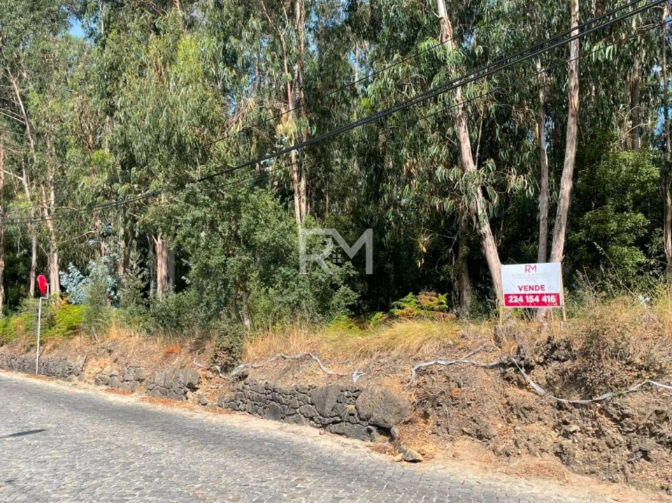 Terreno Agricola ou Rústico para Venda em Vilar e Mosteiró Foto 10
