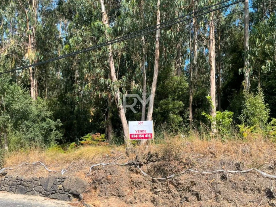 Terreno Agricola ou Rústico para Venda em Vilar e Mosteiró Foto 11