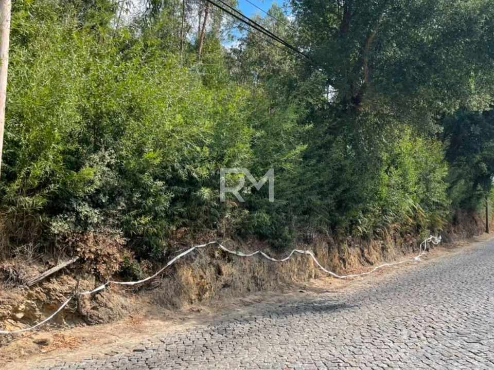 Terreno Agricola ou Rústico para Venda em Vilar e Mosteiró Foto 12