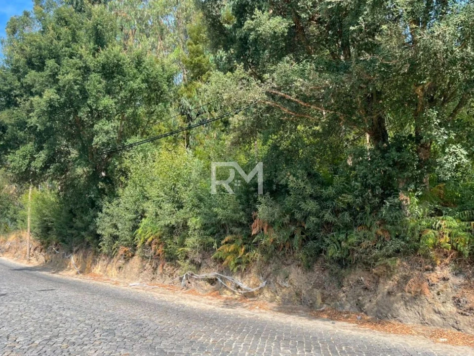 Terreno Agricola ou Rústico para Venda em Vilar e Mosteiró Foto 15