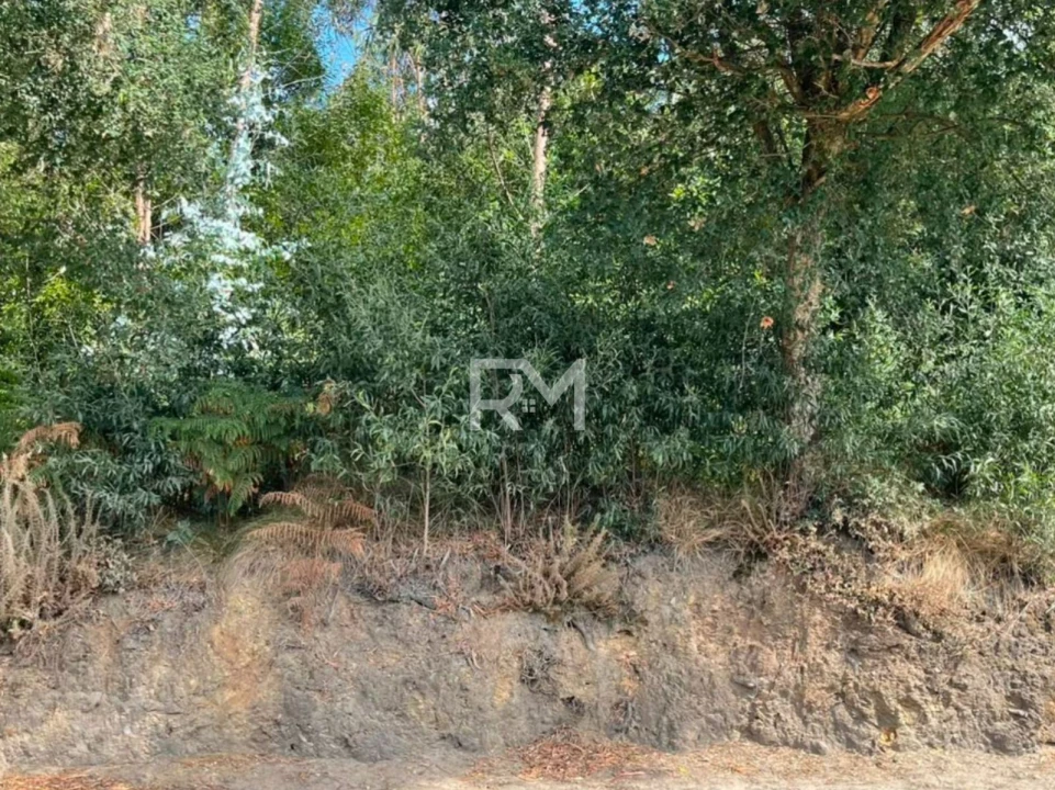 Terreno Agricola ou Rústico para Venda em Vilar e Mosteiró Foto 16