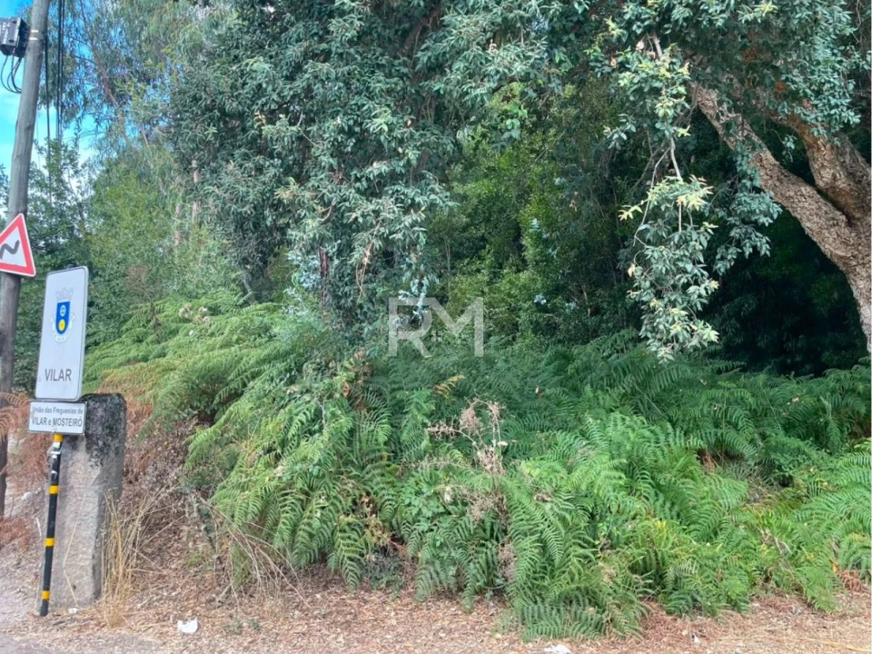 Terreno Agricola ou Rústico para Venda em Vilar e Mosteiró Foto 17