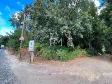 Terreno Agricola ou Rústico para Venda em Vilar e Mosteiró
