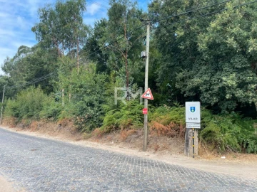 Terreno Agricola ou Rústico para Venda em Vilar e Mosteiró
