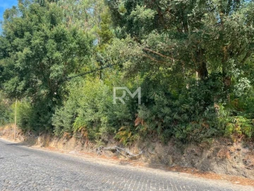 Terreno Agricola ou Rústico para Venda em Vilar e Mosteiró